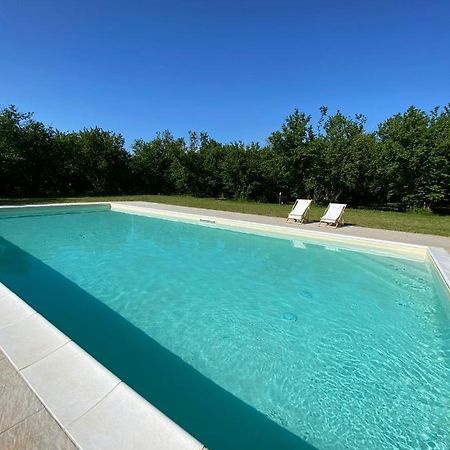 Agriturismo Terre Di Nelio Vignanello Екстериор снимка