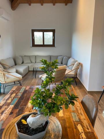 Agriturismo Terre Di Nelio Vignanello Екстериор снимка